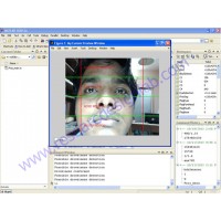 Drowsy Driver Detection System (Matlab only)